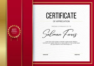 certificate of best meta ad creator in 2025 at alif